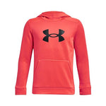 Kids Under Armour Big Logo Hoodie (Youth Large Only)