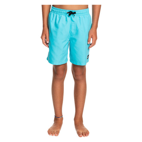 Youth Quiksilver Boardshorts (Size 16 Only)