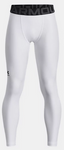 Under Armour Youth Compression Leggings