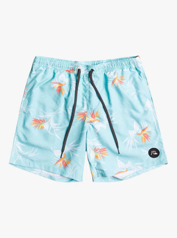 Youth Quiksilver Boardshorts (Size 12 Only)