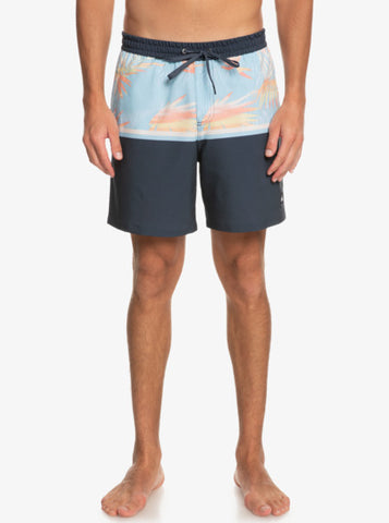 Quiksilver Division Boardshorts